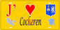 Plaque métal décorative 15 x 30 cm fond mur jaune carte J' ❤️Cocheren, canton Forbach Moselle 57