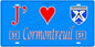 Plaque métal décorative, J' ❤️Cormontreuil, Marne, fond  mur bleu 51