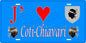 Plaque métal décorative 15 x 30 cm bleu J' ❤️ Coti chiavari  canton de Taravo-Ornano Corse du Sud - Plaquesfrance.com