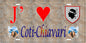 Plaque métal décorative 15 x 30 cm mur antique J' ❤️ Coti chiavari  canton de Taravo-Ornano Corse du Sud - Plaquesfrance.com