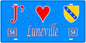 Plaque métal décorative, J' ❤️Lunéville, Meurthe et Moselle, fond  mur bleu 54
