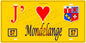 Plaque métal décorative 15 x 30 cm fond mur jaune 57 J' ❤️ Mondelange, canton Fameck Moselle 57