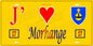 Plaque métal décorative 15 x 30 cm fond mur jaune 57 J' ❤️ Morhange, canton Sarralbe Moselle 57