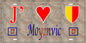 Plaque métal décorative 15 x 30 cm mur antique 57 J' ❤️ Moyenvic, canton du Saulnois Moselle 57