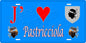 Plaque métal décorative 15 x 30 cm bleu J' ❤️ Pastricciola Canton de Sevi-Sorru-Cinarca Corse du Sud
