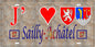 Plaque métal décorative 15 x 30 cm mur antique 57 J' ❤️ Sailly-Achâtel, canton du Saulnois Moselle 57