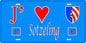 Plaque métal décorative 15 x 30 cm fond bleu 57 J' ❤️Sotzeling , canton du Saulnois Moselle 57