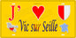 Plaque métal décorative 15 x 30 cm fond jaune carte J' ❤️ Vic-sur-Seille, canton du Saulnois Moselle 57
