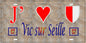 Plaque métal décorative 15 x 30 cm mur antique 57 J' ❤️ Vic-sur-Seille, canton du Saulnois Moselle 57