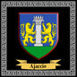 Plaque métal décorative carrée fond noir blason Ajaccio Corse du Sud