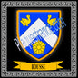 Plaque métal décorative fond noir carrée 30 x 30 cm blason Bousse, canton Sarralbe Moselle 57