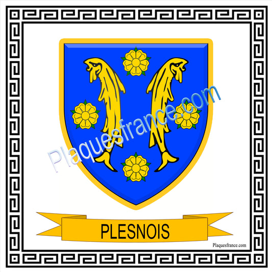Plaque métal décorative  fond blanc carré 30 x 30cm  blason Plesnois, canton Les Coteaux de Moselle 57