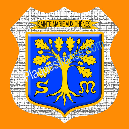 Plaque écusson blason Sainte Marie aux Chênes Fond craquelres