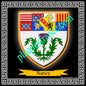 Plaque métal décorative fond noir carrée 30x30 cm blason de Nancy,  Meurthe et Moselle 54