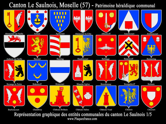 Plaque métal décorative Collector planche 1/5 Canton du Saulnois Moselle 57