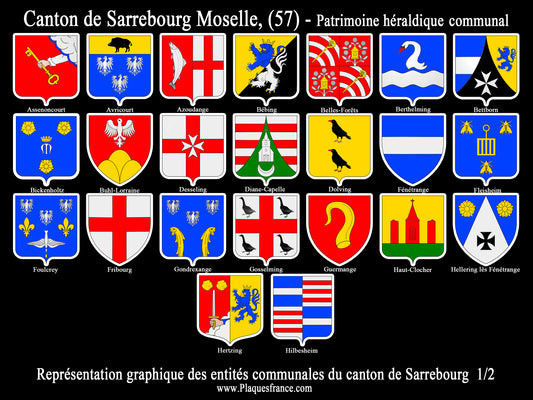 Plaque métal décorative Collector planche 1/2 Canton de Sarrebourg Moselle 57