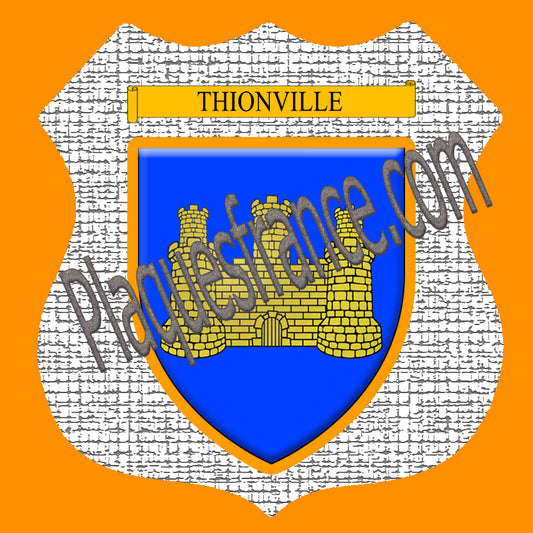 Plaque métal décorative format écusson Ø 30cm fond craquelures Thionville, Moselle 57