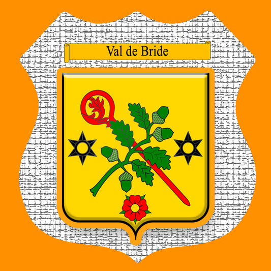 Plaque métal décorative format écusson Ø 30cm fond  craquelure blason Val de Bride, Moselle 57