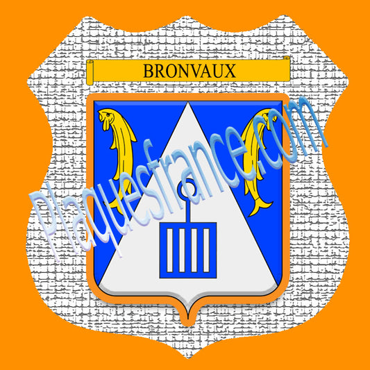 Plaque métal décorative format écusson Ø 30cm fond craquelures Bronvaux, Moselle 57