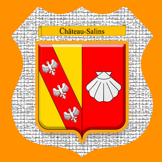 Plaque métal décorative format écusson Ø 30cm fond craquelures blason Château-Salins, Moselle 57