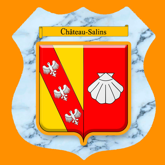 Plaque métal décorative format écusson Ø 30cm fond marbre blason Château-Salins, Moselle 57