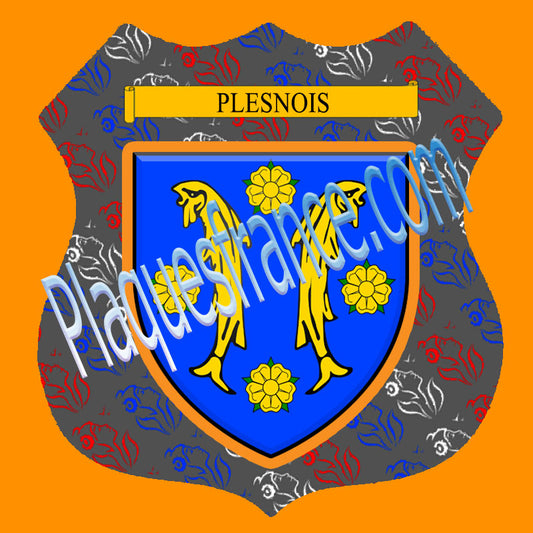 Plaque métal décorative format écusson Ø 30cm fond marianne blason Plesnois, Moselle 57