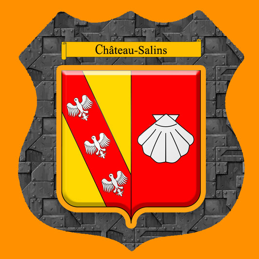 Plaque métal décorative format écusson Ø 30cm fond plaques métal blason Château-Salins, Moselle 57 (Copie)