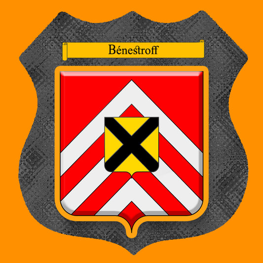 Plaque métal décorative format écusson Ø 30cm fond  métal+verre blason Bénestroff, Moselle 57