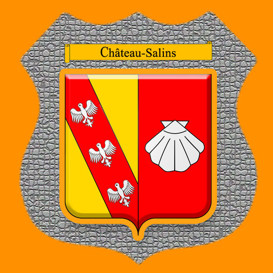 Plaque métal décorative format écusson Ø 30cm fond mozaique blason Château-Salins, Moselle 57