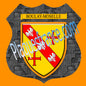 Plaque métal décorative format écusson Ø 30cm fond plaques métal blason Boulay-Moselle 57