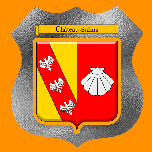 Plaque métal décorative format écusson Ø 30cm fond verre dépoli blason Château-Salins, Moselle 57