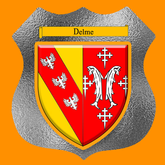 Plaque métal décorative format écusson Ø 30cm fond verre dépoli  blason Delme, Moselle 57
