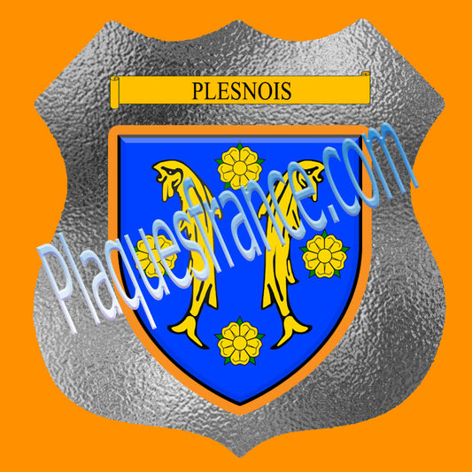 Plaque métal décorative format écusson Ø 30cm fond verre dépoli Plesnois, Moselle 57