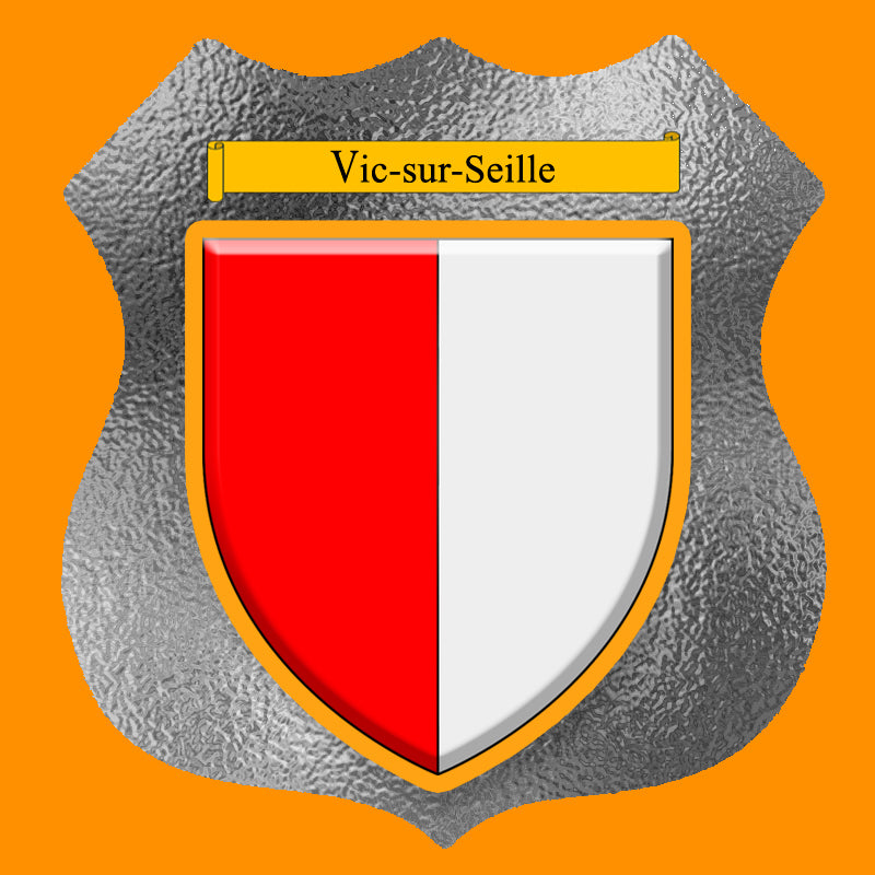 Plaque métal décorative format écusson Ø 30cm fond verre dépoli blason Vic-sur-Seille, Moselle 57