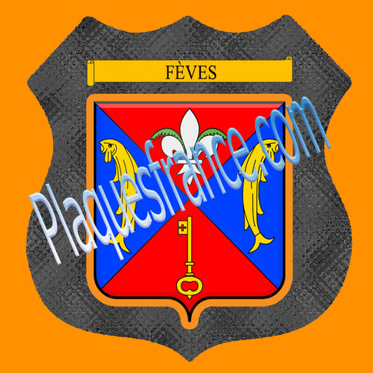 Plaque métal décorative format écusson Ø 30cm fond verre+métal,  Fèves Moselle 57