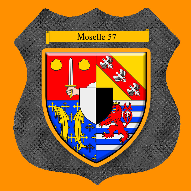 Plaque métal décorative format écusson Ø 30cm fond verre+métal blason , Moselle 57