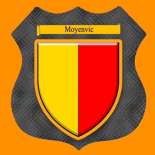 Plaque métal décorative format écusson Ø 30cm fond verre+métal blason Moyenvic, Moselle 57
