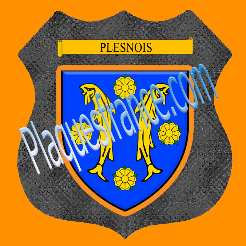 Plaque métal décorative format écusson Ø 30cm fond verre+métal Plesnois, Moselle 57