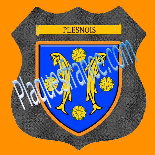 Plaque métal décorative format écusson Ø 30cm fond verre+métal Plesnois, Moselle 57