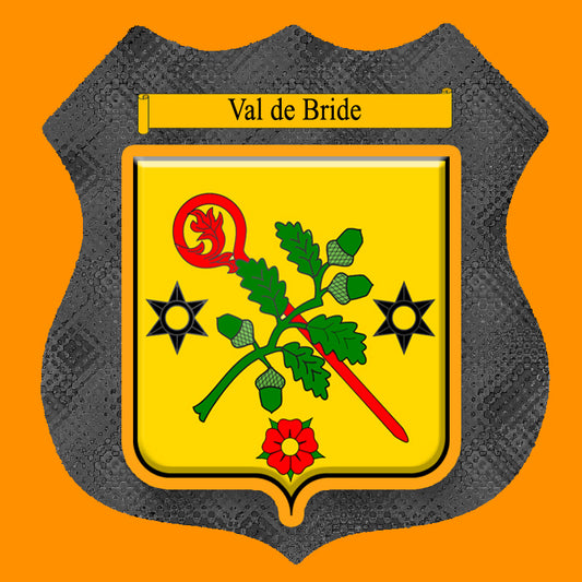 Plaque métal décorative format écusson Ø 30cm fond  verre+métal blason Val de Bride, Moselle 57