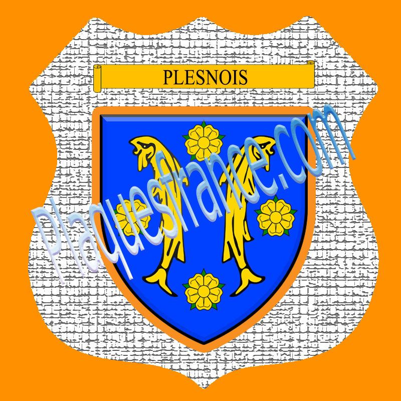 Plaque métal décorative format écusson Ø 30cm fond craquelures blason Plesnois, Moselle 57