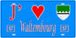 Plaque métal décorative, J'❤️Waltembourg, Moselle, fond mur bleu 57