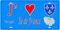 Plaque métal décorative J' ❤️ la région ile de France