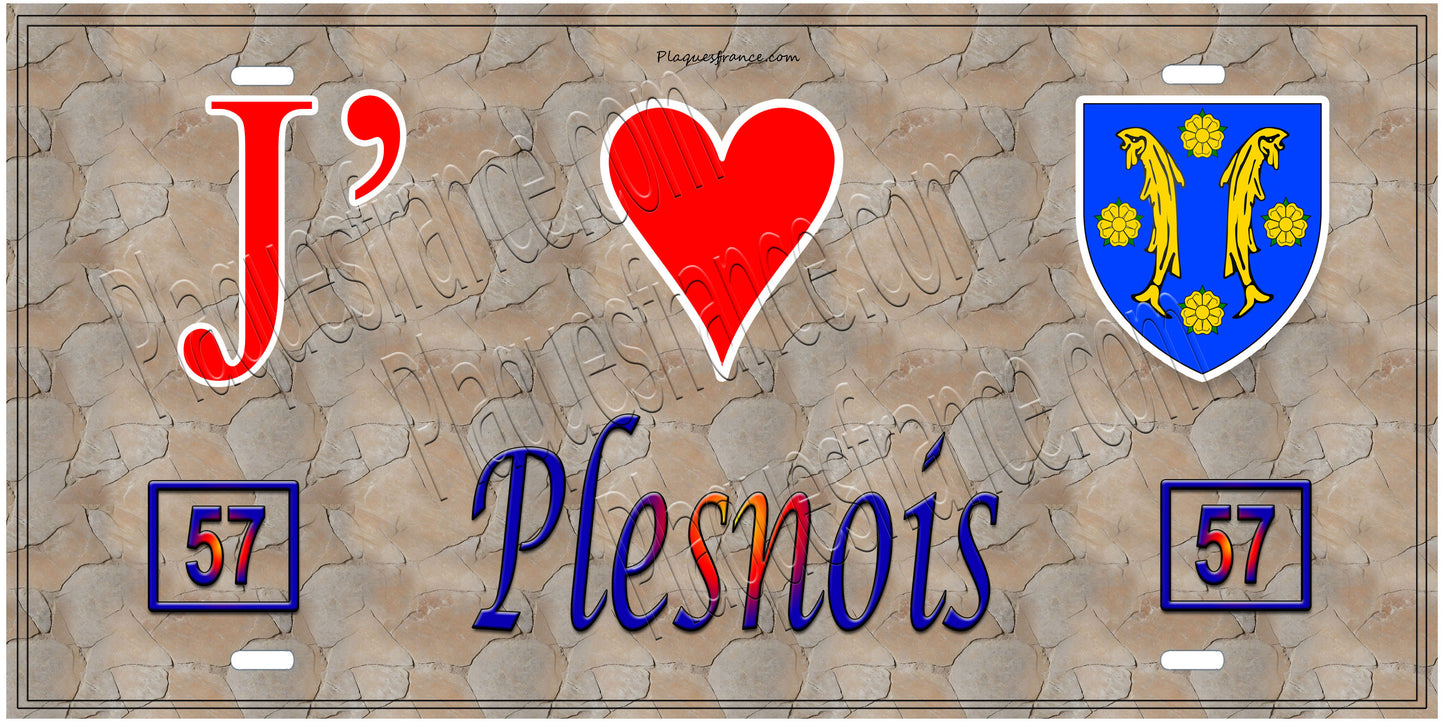 Plaque métal décorative 15 x 30 cm fond  mur antique carte J' ❤️Plesnois , canton Rombas 57