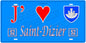 Plaque métal décorative, J' ❤️Saint-Dizier, Haute Marne, fond  mur bleu 52