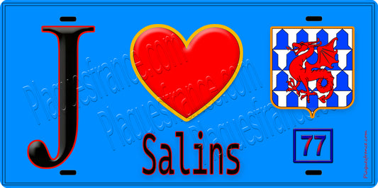 Plaque métal décorative  J' ❤️Salins, Seine et Marne (77) fond bleu