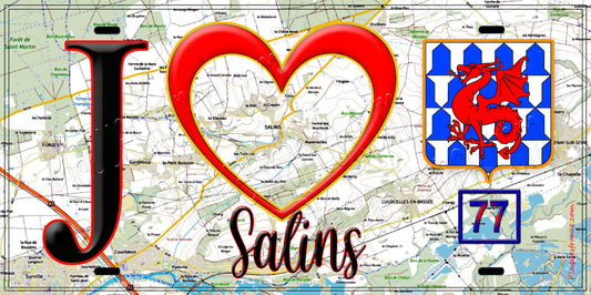 Plaque métal décorative  J' ❤️Salins, Seine et Marne (77) fond carte