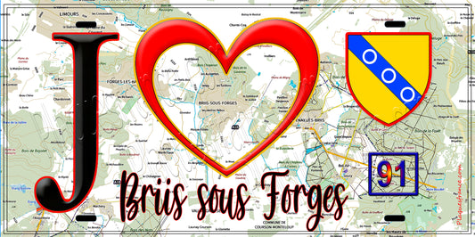 Plaque métal décorative  J' ❤️Briis-sous-Forges, Essonne (91) fond carte