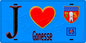 Plaque métal décorative  J' ❤️Gonesse, Val d'Oise (95) fond bleu