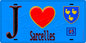 Plaque métal décorative  J' ❤️Sarcelles, Val d'Oise (95) fond bleu